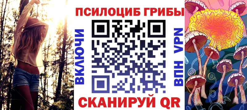 Псилоцибиновые грибы Cubensis  Купить закладки  Чусовой 